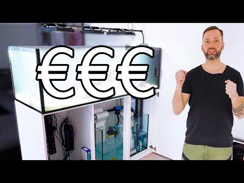 How much does a high-end 500l saltwater aquarium cost?
