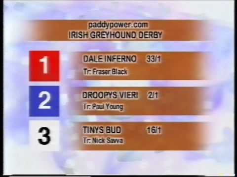 IRISH DERBY 2001. FINAL...COOL PERFORMANCE