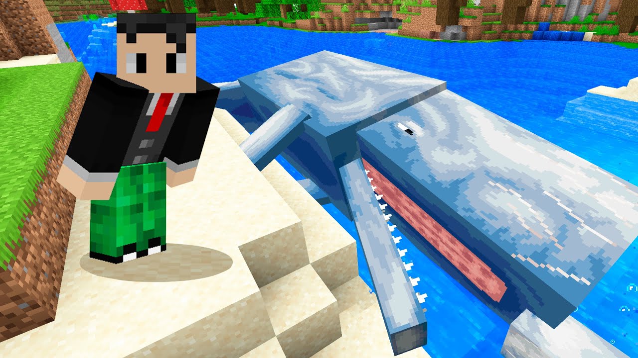 BALEIA ENCALHADA NO MINECRAFT