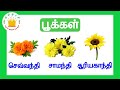 தமிழரசி பூக்கள் Learn Flower Names In Tamil For Kids And Children Tamila