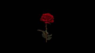 Ilysb Stripped Lany Download Flac Mp3