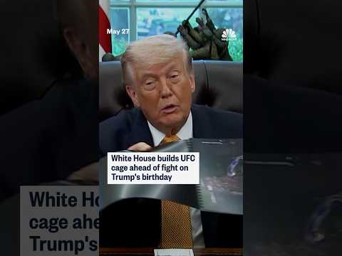 White House builds UFC cage ahead of fight on Trump's birthday