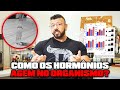 EFEITOS DOS HORMÔNIOS NO ORGANISMO | DE FRENTE COM DRAGÃO COM ADAM ABBAS