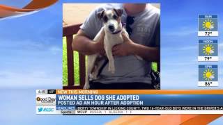 A Dog's Life: Adopted 1 Minute, On Craigslist the Next