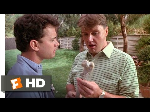 The 'burbs (6/10) Movie CLIP - The Femur (1989) HD