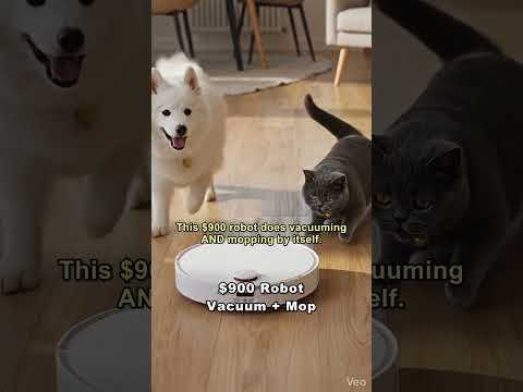 This $900 Robot Vacuum Changed My Life