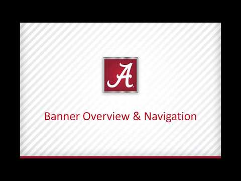 Banner Overview And Navigation