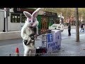 Melbourne's Funky Bunny - Various Covers 1