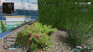 APEXを野良と仲良くやりたい　垂れ流し