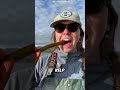 Discover the Mighty Bull Whip Kelp: Nature's Giant Seaweed