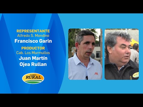 Francisco Garin y Juan Martín Ojea Rullan | Mañana 14 hs remate Cab. Los Murmullos | 08/10/25 | MV