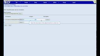 CM/ECF v4.1.1 PDF Upload Demo