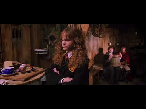 Malfoy Calls Hermione MudBlood - Harry Potter And The Chamber Of Secrets