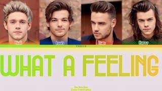 One Direction - What A Feeling (Color Coded Lyrics)