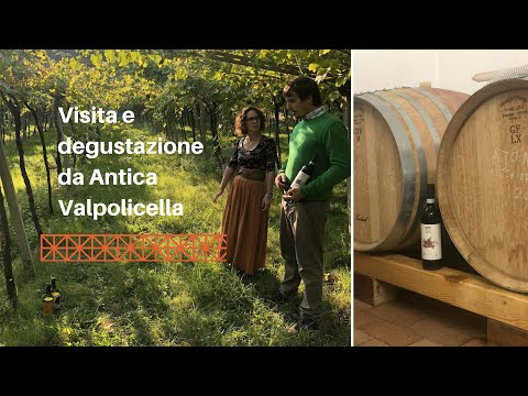 Visita à cantina com degustação da Antica Valpolicella