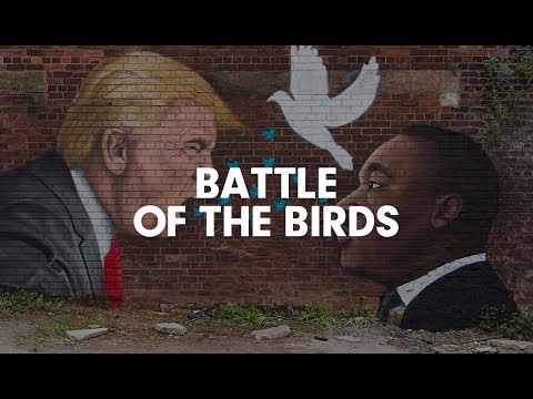 Battle of the Birds