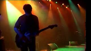 Echo And The Bunnymen - Stormy Weather (From 'Dancing Horses: Live At The Shepherds Bush Empire')