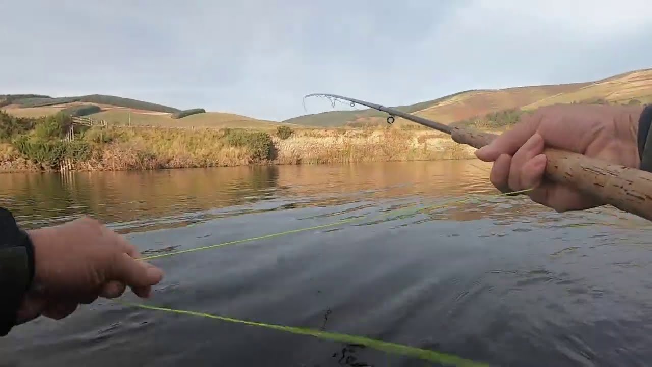 Salmon fishing on the river Tweed at Cardrona 7th November 2020