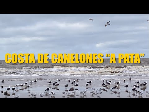 Costa de Canelones “a pata” I (Día 34 de “Uruguay a pata”): Arroyo Carrasco-Arroyo Pando.