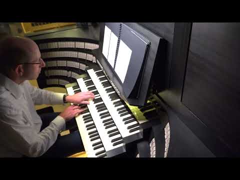 Charles Harrison aus Chichester (engl. Partnerstadt von Speyer) beim "Internationalem Orgelzyklus" 3