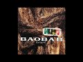 Baobab - Rootsical
