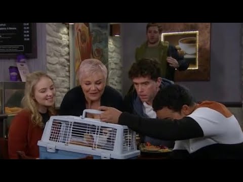 Belle and Jamie scenes - Emmerdale (15/01/20)