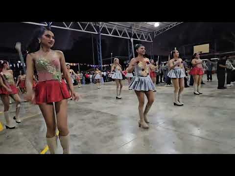 Desfile de correo san julian Banda Ladies y lions music ban 