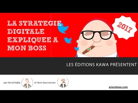 FR Des Big Data au Big Quali avec Daniel Bô — Dunod