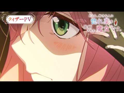 ビデオなし