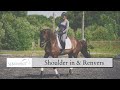 Shoulder-in to Renvers Lesson