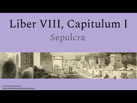 Artifex: Liber 8, Capitulum 1