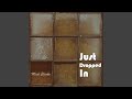 Just Dropped In