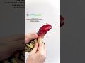 RubberSaurs Ceratosaurus Prototype Is Up For Auction