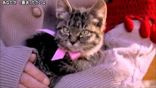 Ai Otsuka - amaenbo vostfr