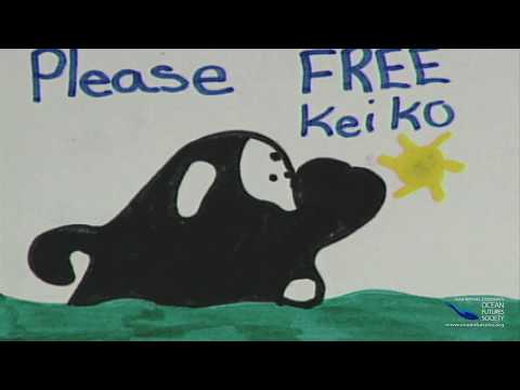 SeaScope 37 Q&A Keiko - Learning to be Wild