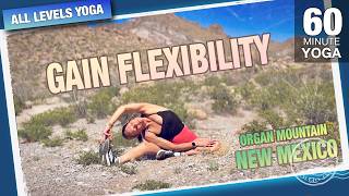 Gain Flexibility in 60 min w/ this INTENSE Deep Stretch Yoga Class - Five Parks Yoga w Erin Sampson
