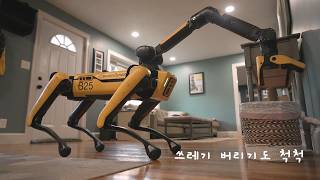 못하는게 없는 로봇개…'언제 우리 집에 올래?' [티조핫]