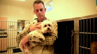 preview picture of video 'Prineville Veterinary Clinic - Short | Prineville, OR'