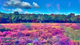 Groove Armada - Superstylin 432hz [Dance]