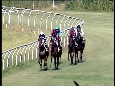 Galoppo 24/08/2019 - 1ª corsa