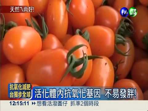 多吃青菜會瘦! 含抗氧化劑助減重