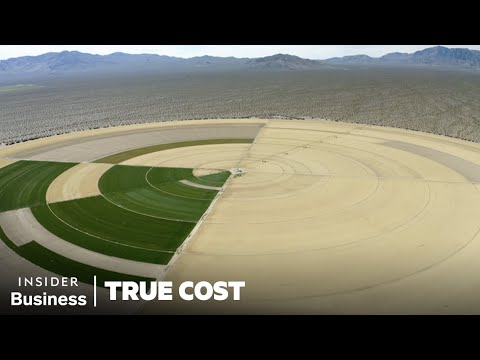 , title : 'Grass Is The Most Wasteful Crop In The US. Should We Ban It? | True Cost | Insider Business'