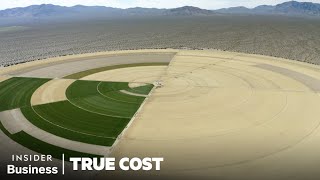 Grass Is The Most Wasteful Crop In The US. Should We Ban It? | True Cost | Insider Business