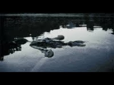 Horror Hörspiel - Fluss des Grauens