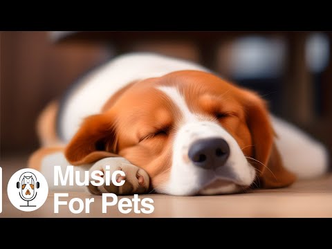 Música para dormir profundamente para perros🐶💖Música para la ansiedad por separación de perros🐶🎵M...