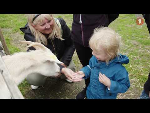 Sommeraktiviteter for barn: Sommer på Sverresborg