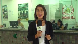 Miniatura do vídeo