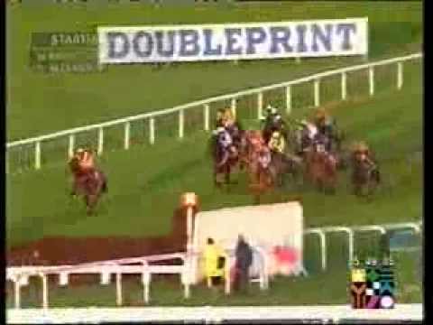 2002 Weatherbys Champion Bumper Standard Open NH Flat Race