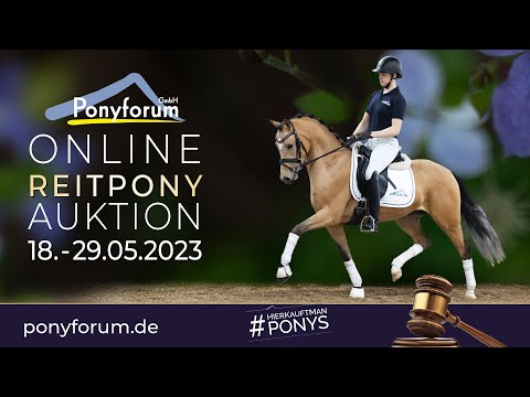 RM Nogger Choc Wallach 2018 v. Numerus Clausus / D-Day AT