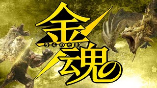 【MHRise:SB】金の魂 傀異研究レベル上げ手伝って！『モンスターハンターライズ：サンブレイク』視聴者参加型